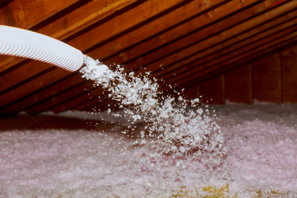 Best Insulation Maintenance and Repair in Thomson, GA